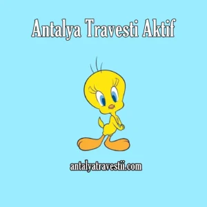 Antalya Travesti Aktif
