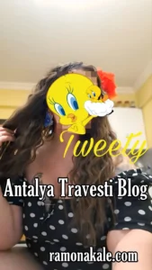Antalya Travesti Blog