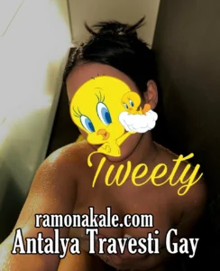 Antalya Travesti Gay