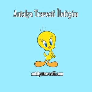 Antalya Travesti İletişim