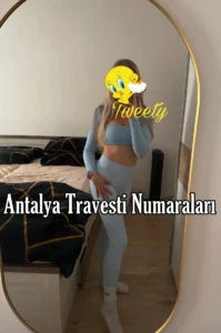 Antalya Travesti Numaraları