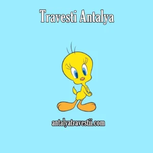 Travesti Antalya