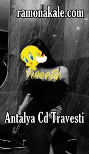 Antalya Cd Travesti