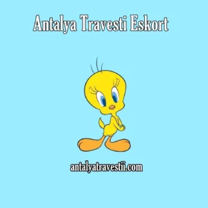 Antalya Travesti Eskort