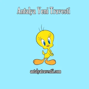 Antalya Yeni Travesti